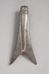 Fibula of a Cicada
